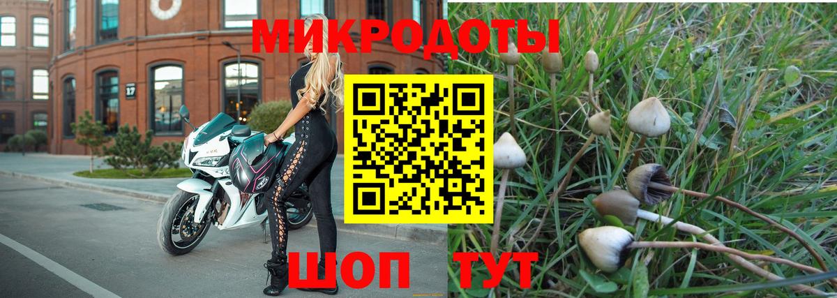 Калач-на-Дону  Псилоцибиновые грибы MAGIC MUSHROOMS  Вход с VPN 