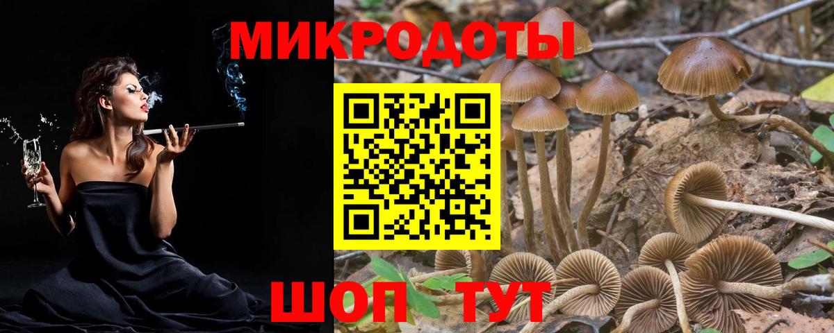 Галлюциногенные грибы мухоморы Калач-на-Дону